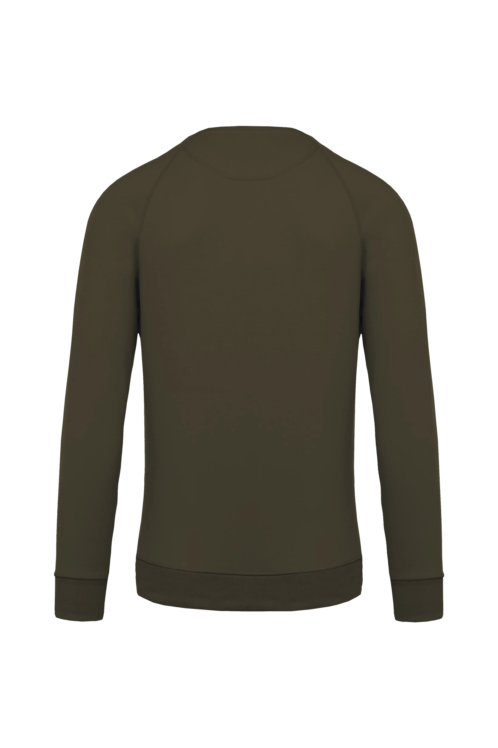 Sweat-shirt bio col rond manches raglan vert mousse