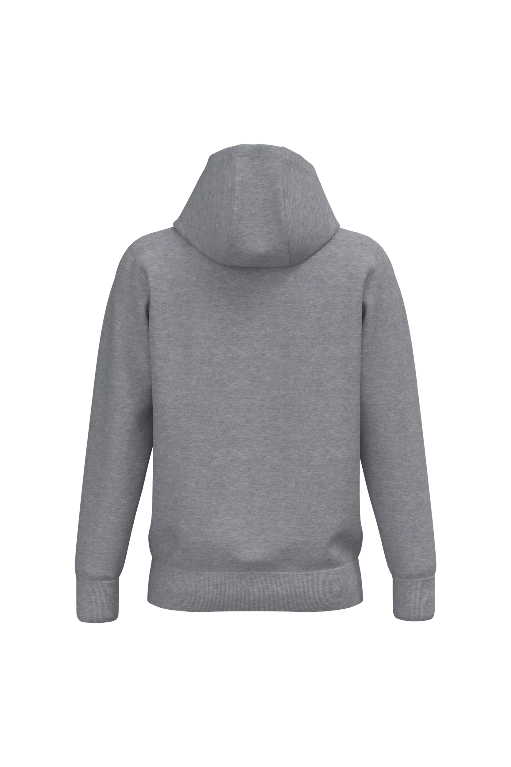 Sweat-shirt capuche gris